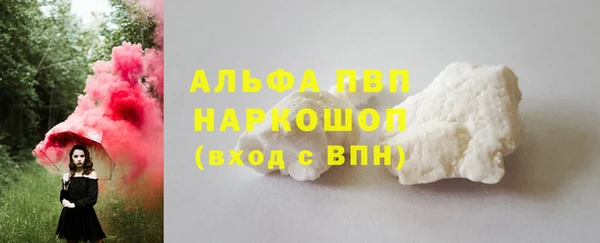 ГАЛЛЮЦИНОГЕННЫЕ ГРИБЫ Белоозёрский