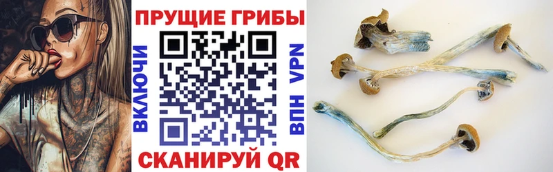 что такое наркотик  Бирюсинск  hydra ССЫЛКА  Галлюциногенные грибы Psilocybine cubensis 